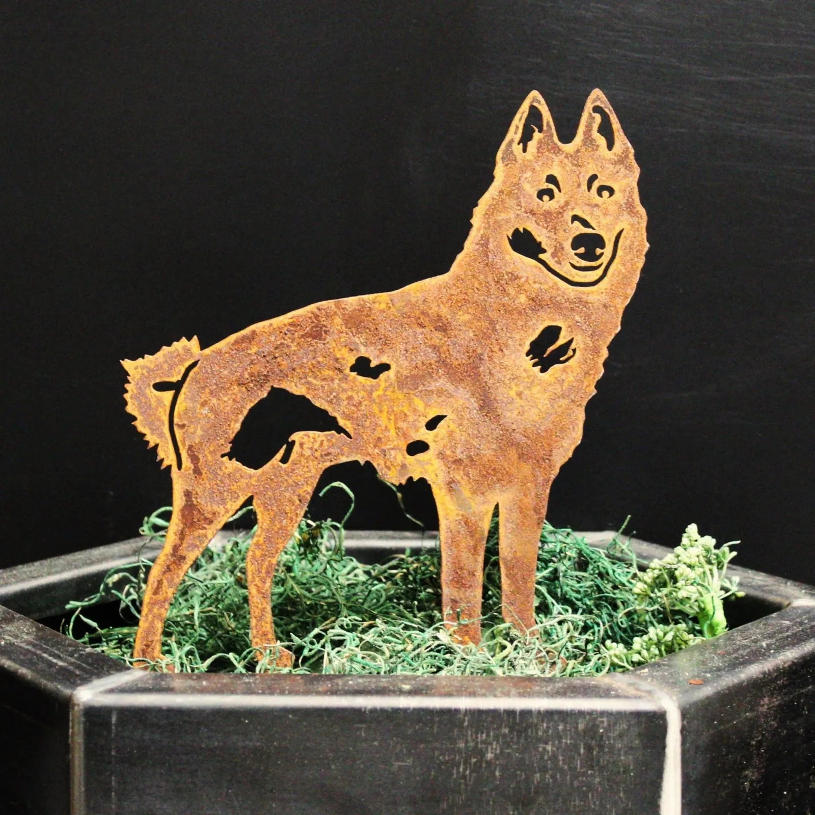 Rusty silhouette of a Schipperke dog made from Corten steel, displaying a rustic charm against green moss in a pot.