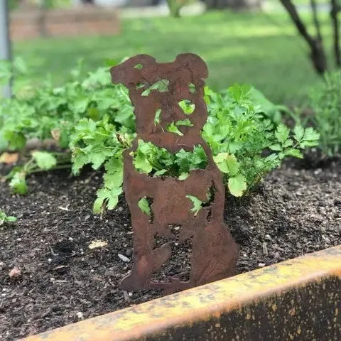 Schnauzer metal silhouette in rust patina, nestled among fresh green plants in a garden setting.