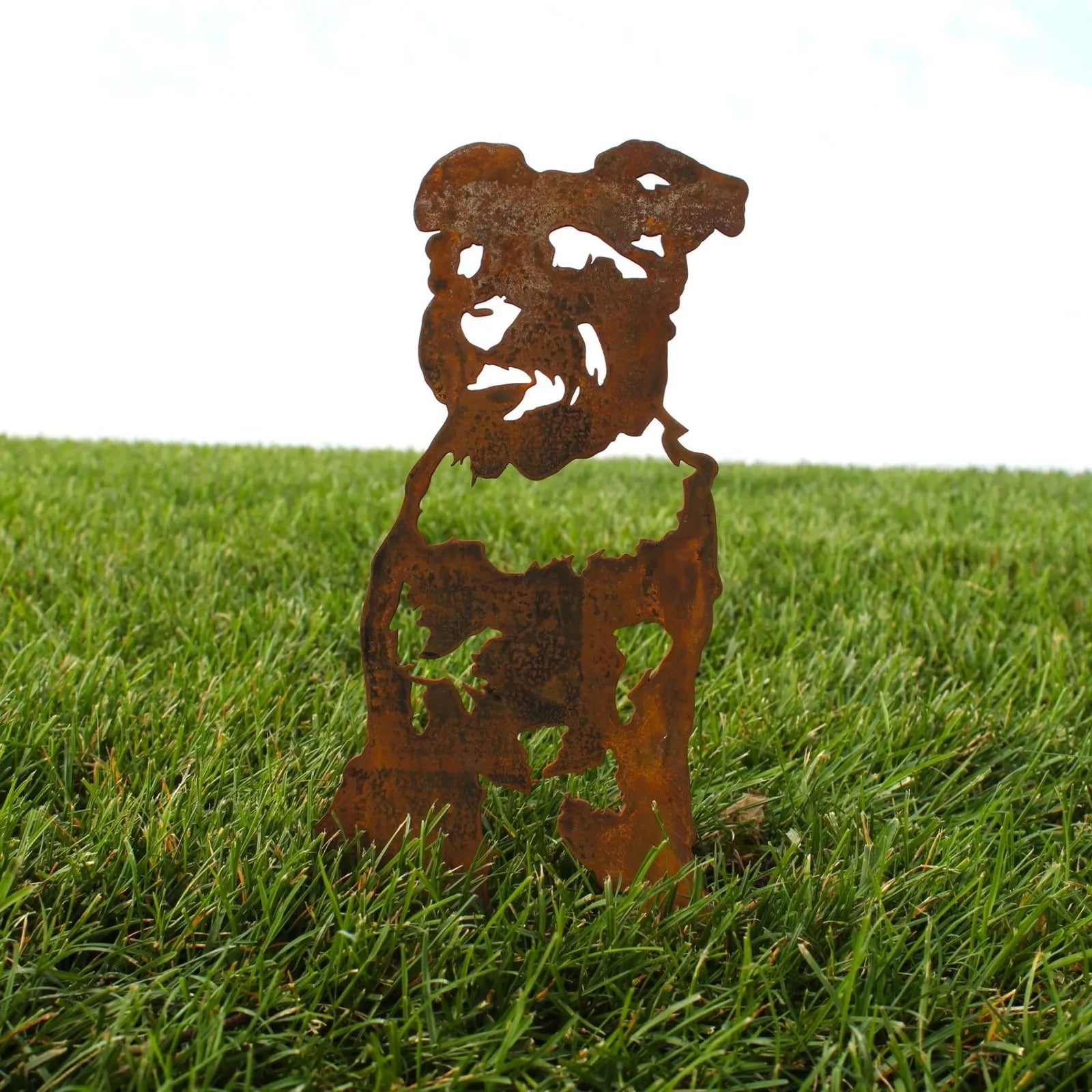 Rusty Corten steel Schnauzer silhouette standing in green grass, showcasing detailed cutouts for outdoor decor.