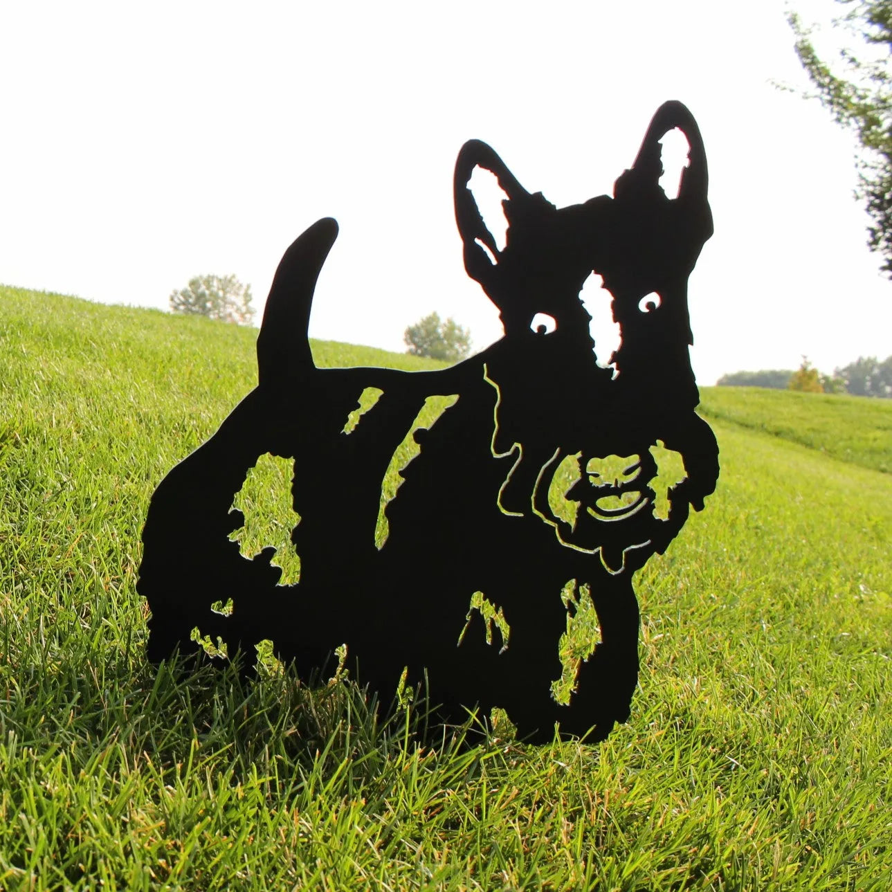 Black metal silhouette of a Scottish Terrier standing on green grass, showcasing intricate details and playful expression.