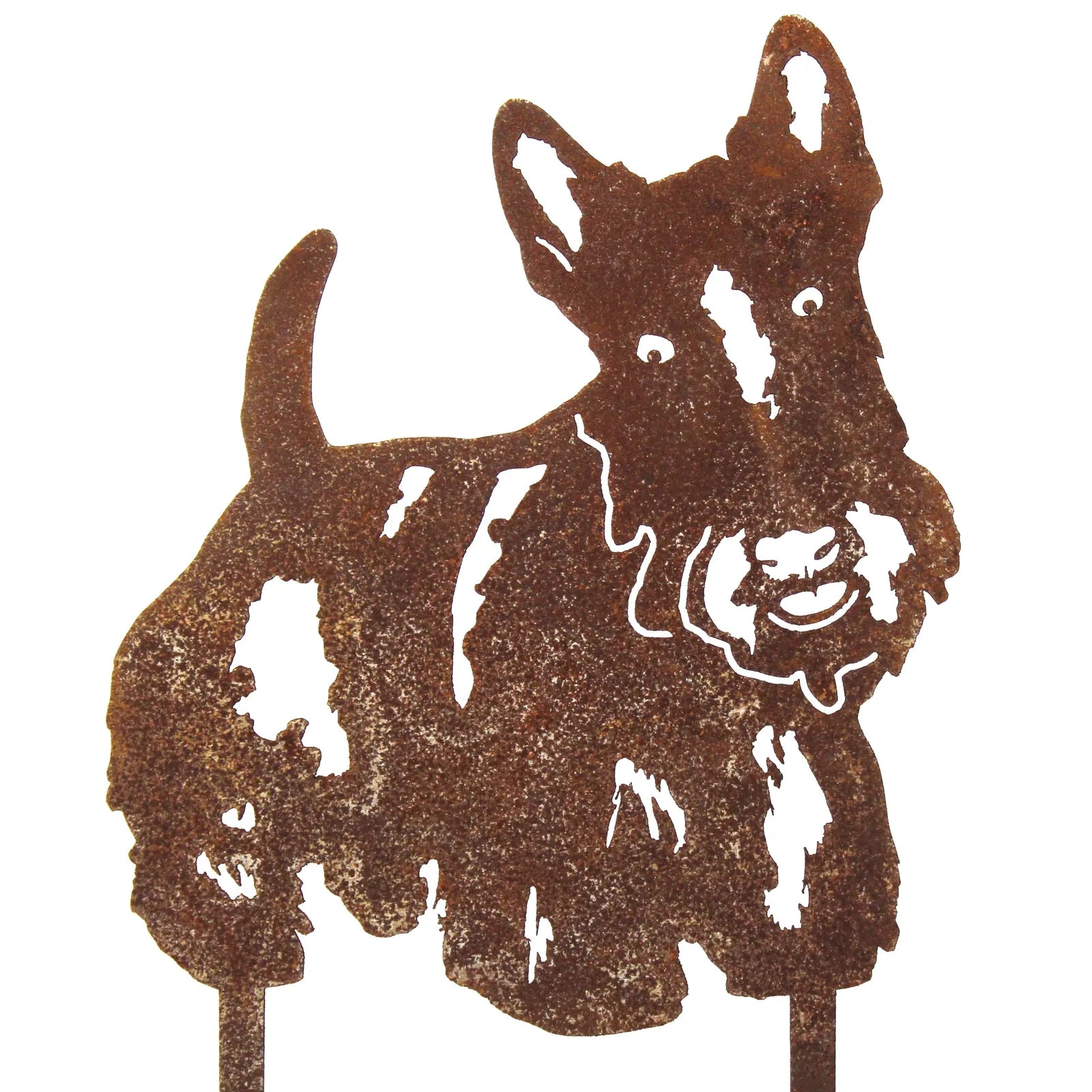 Rusty Corten steel silhouette of a Scottish Terrier with defined features, perfect for garden decor.