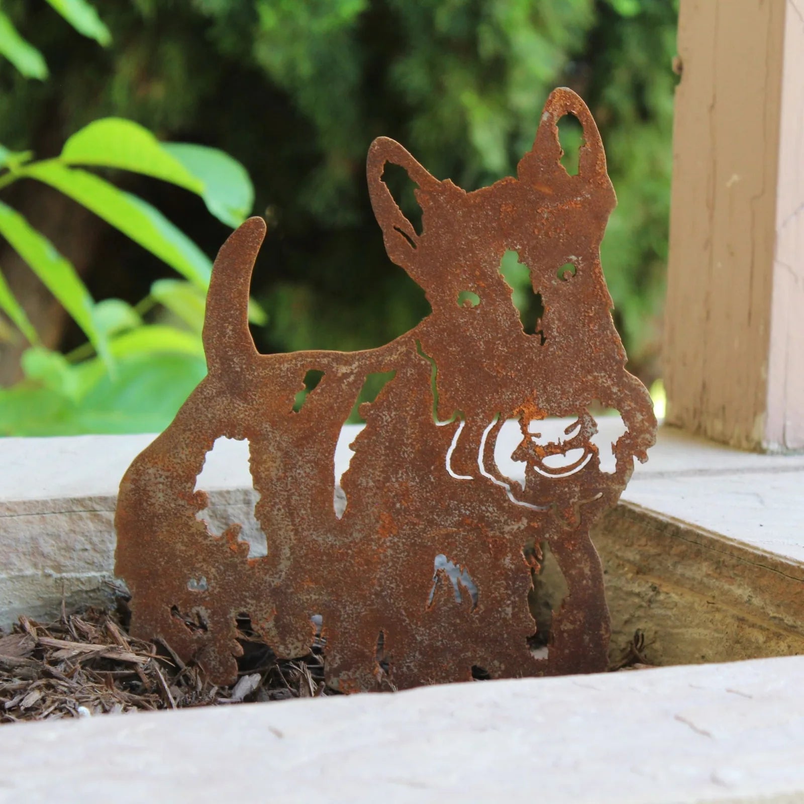 Scottish Terrier silhouette in rusty Corten steel, featured among garden mulch, adding rustic charm to outdoor decor.