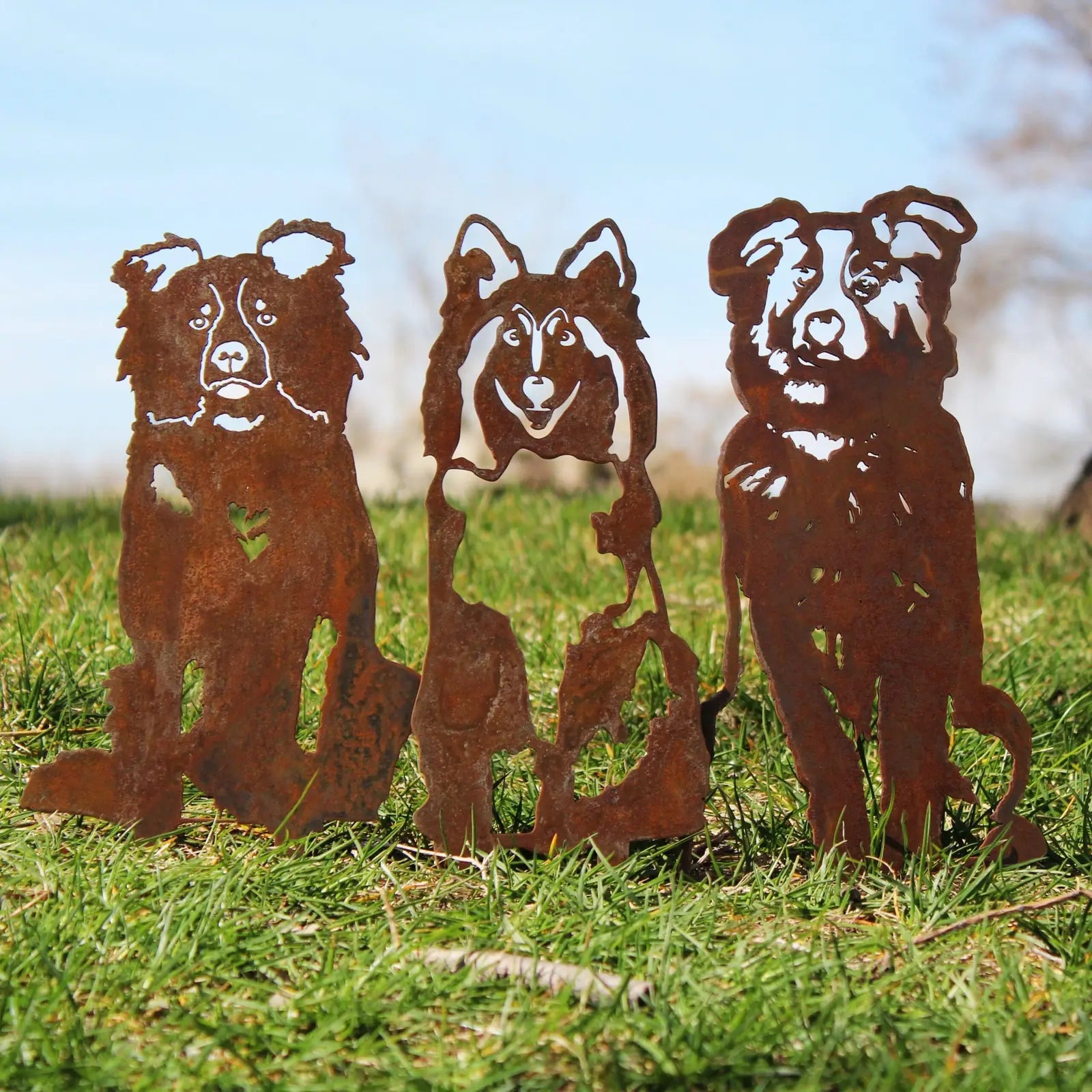 Shetland Sheepdog metal silhouette in rusted Corten steel, showcasing playful design among green grass.
