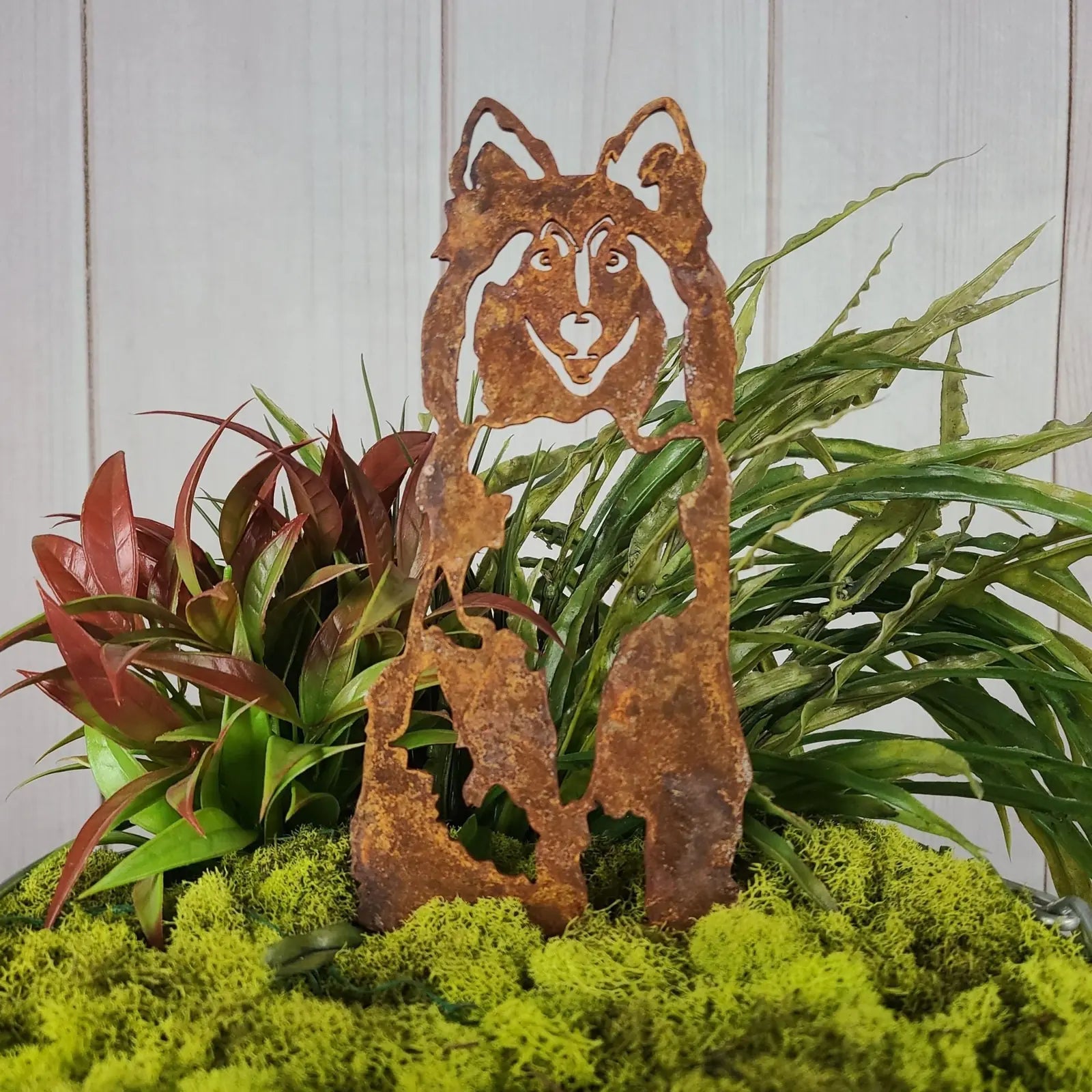 Rusty Corten steel silhouette of a Shetland Sheepdog among green plants and moss, perfect outdoor decor for dog lovers.
