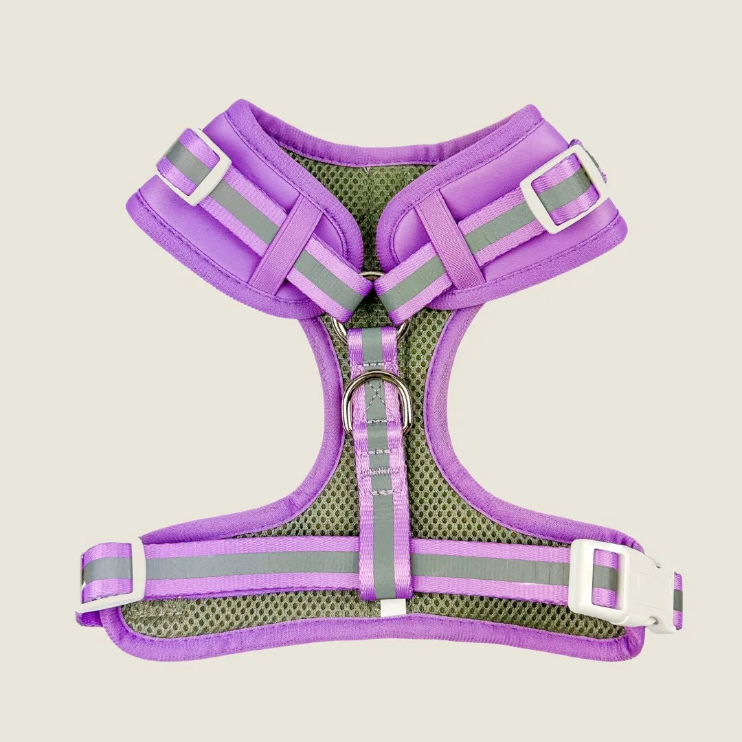 Amethyst-colored adjustable dog harness with reflective elements and breathable mesh lining for comfort and visibility.