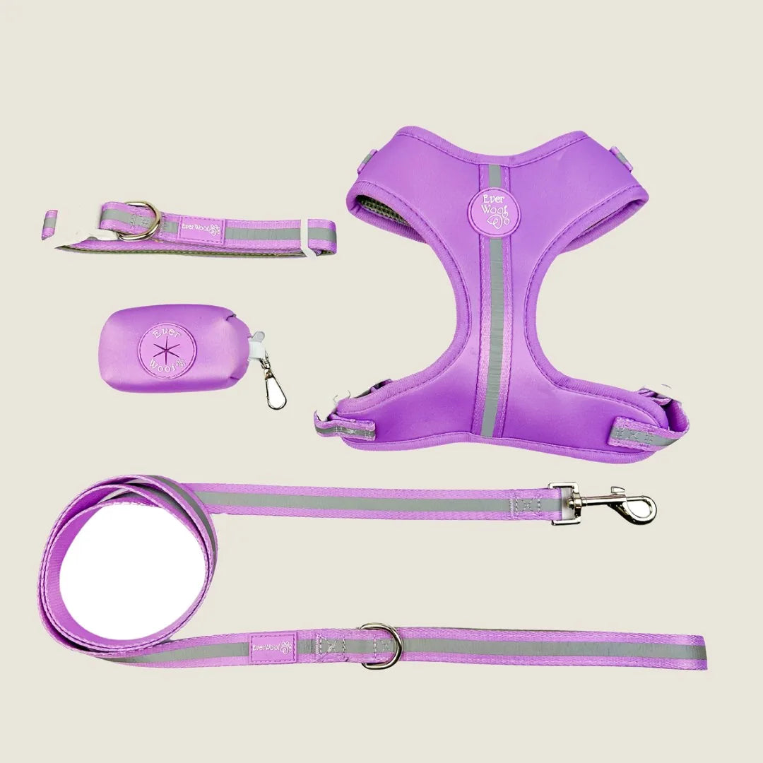 Amethyst adjustable dog harness with reflective elements and matching leash, designed for comfort during walks.