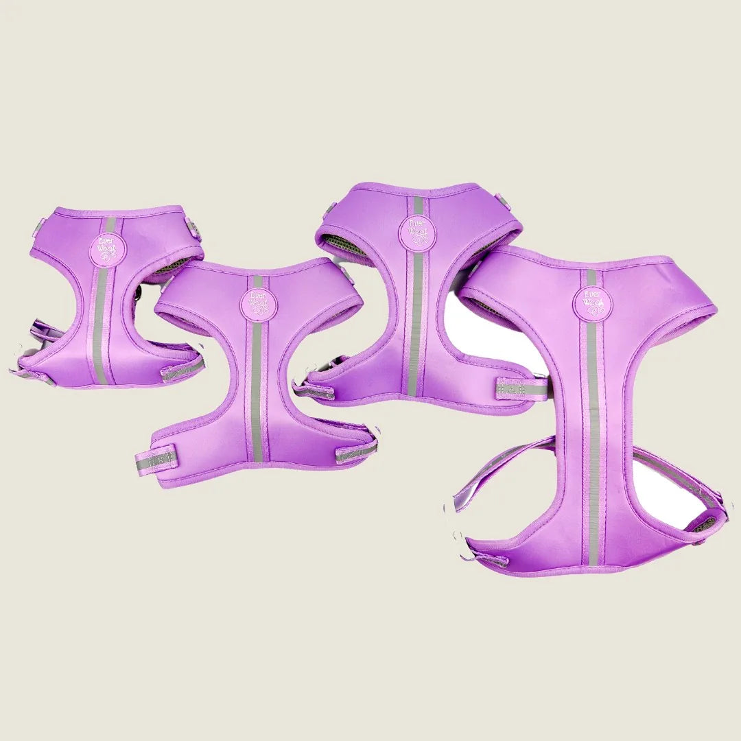 Adjustable purple amethyst dog harnesses with reflective elements, available in various sizes by EverWoof.