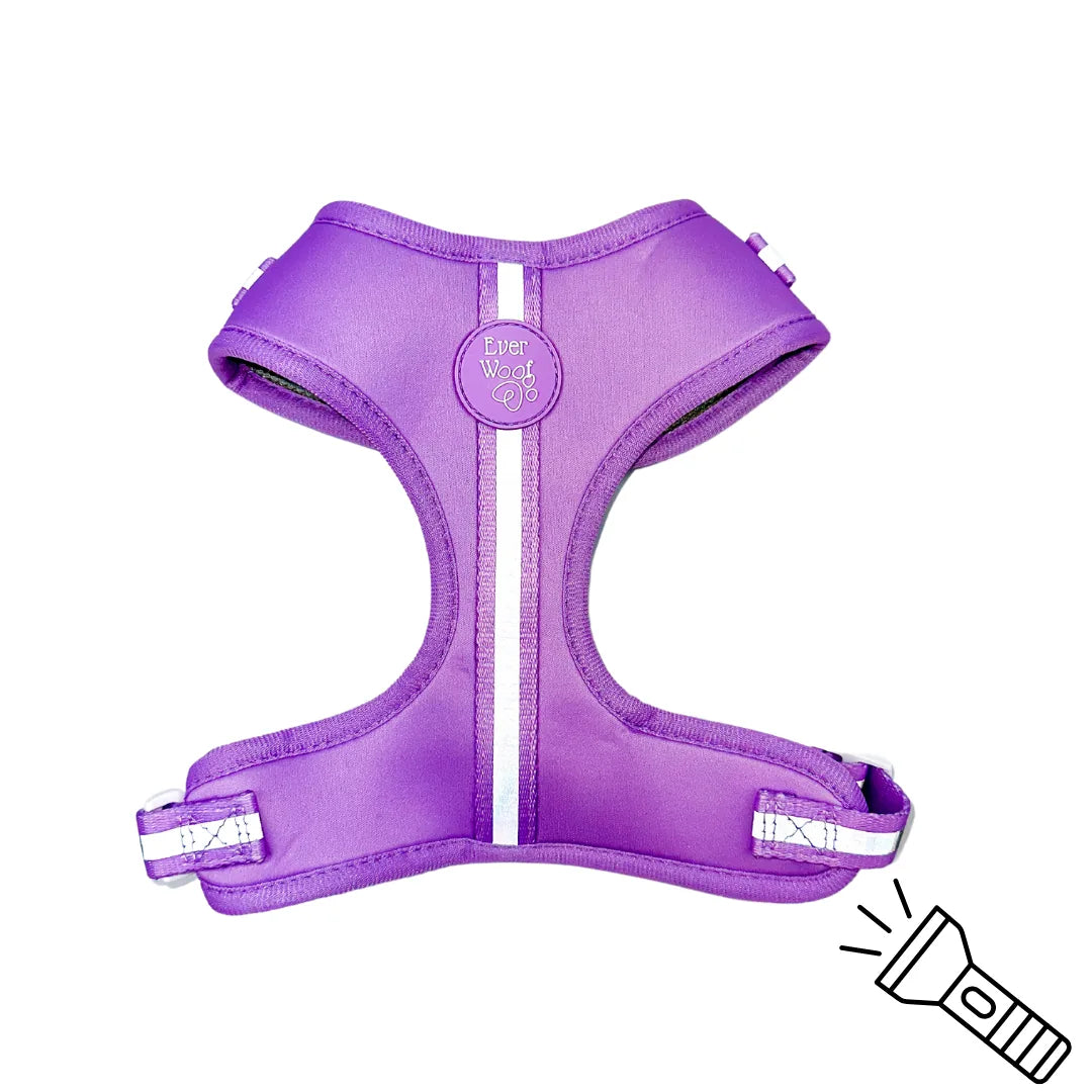 Amethyst adjustable dog harness with reflective stripes and breathable neoprene for comfort during walks.