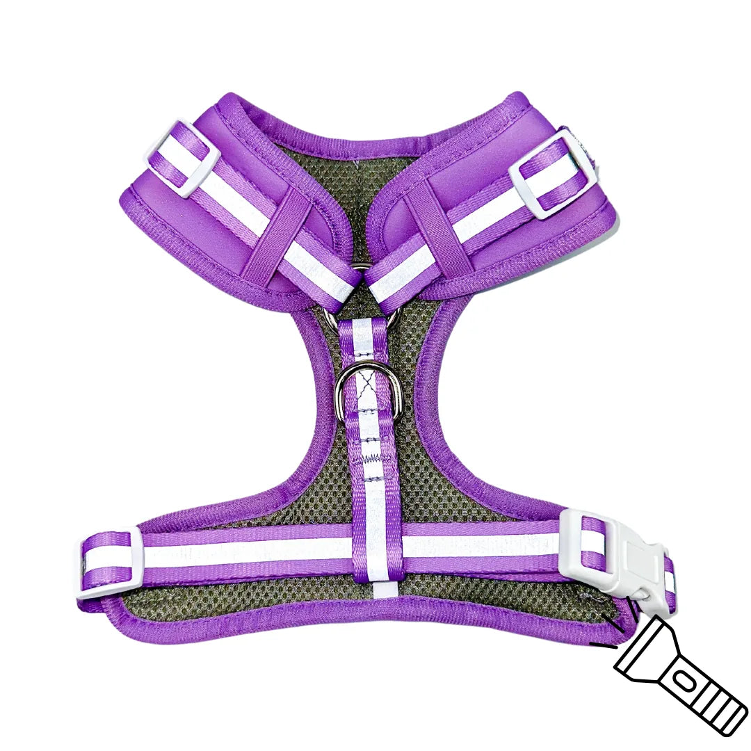Amethyst adjustable dog harness featuring reflective stripes and breathable neoprene for comfort and visibility.
