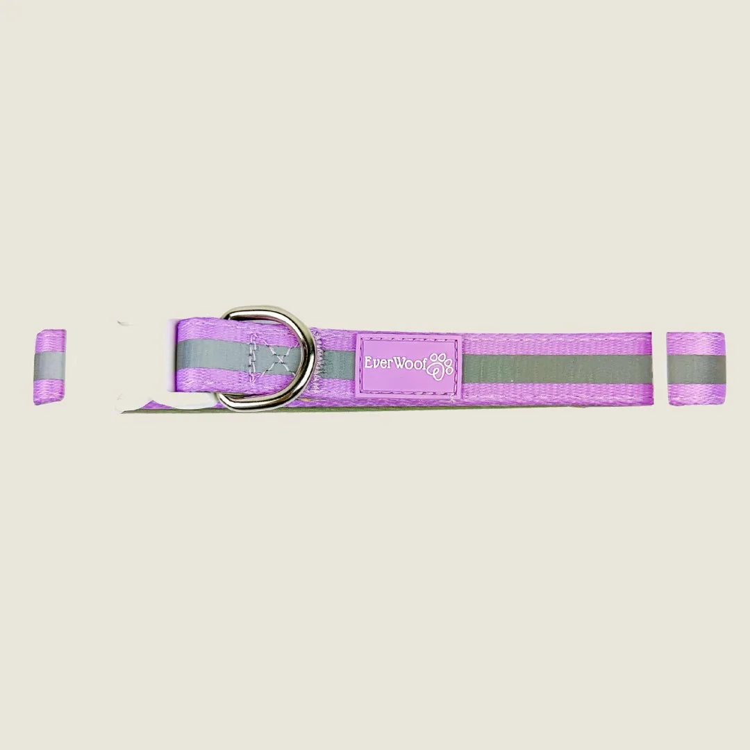 Adjustable purple dog collar with gray reflective stripes and an EverWoof tag, made from durable neoprene and polyester.