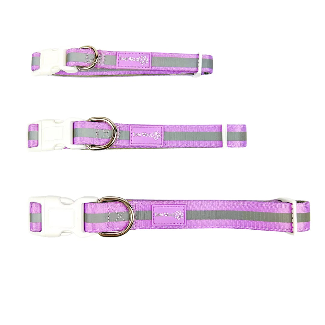 Adjustable purple and gray reflective dog collar by EverWoof with neoprene padding and a durable polyester strap.