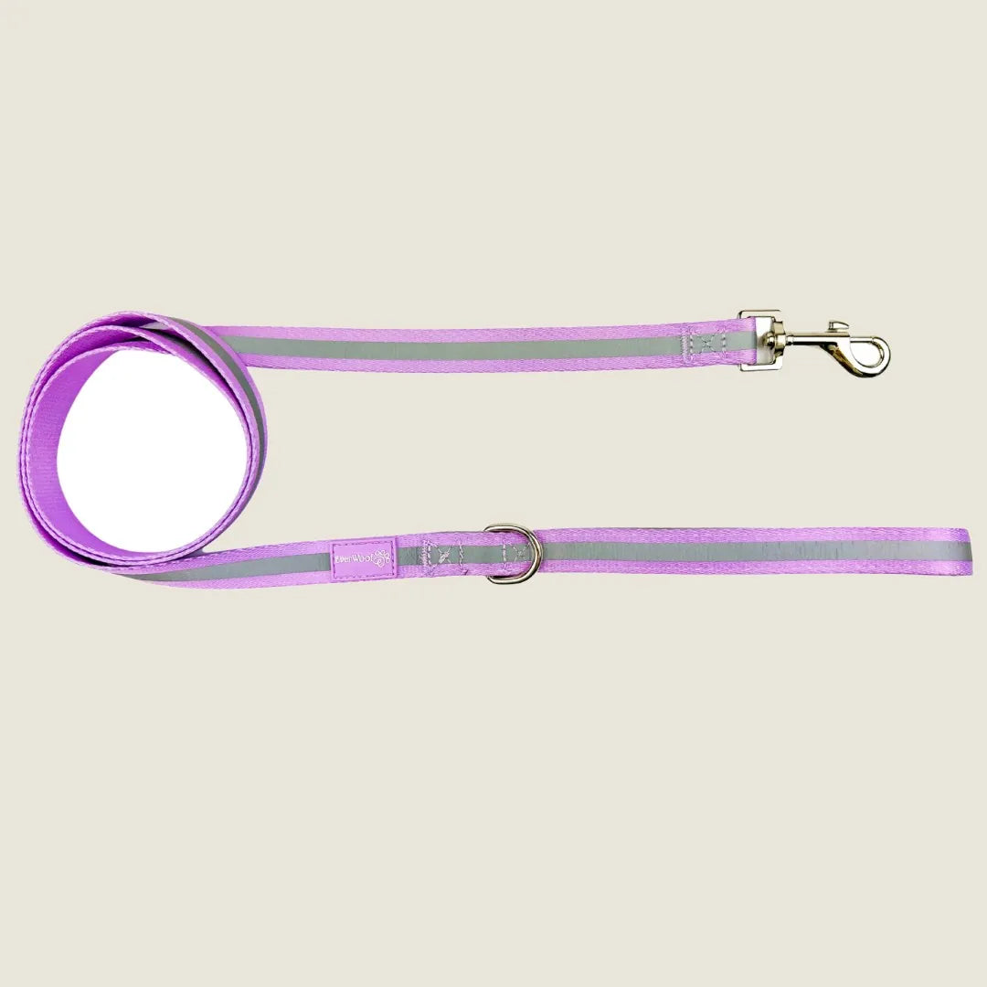 Reflective purple and gray amethyst dog leash with a padded handle and clip for waste bags or keys.