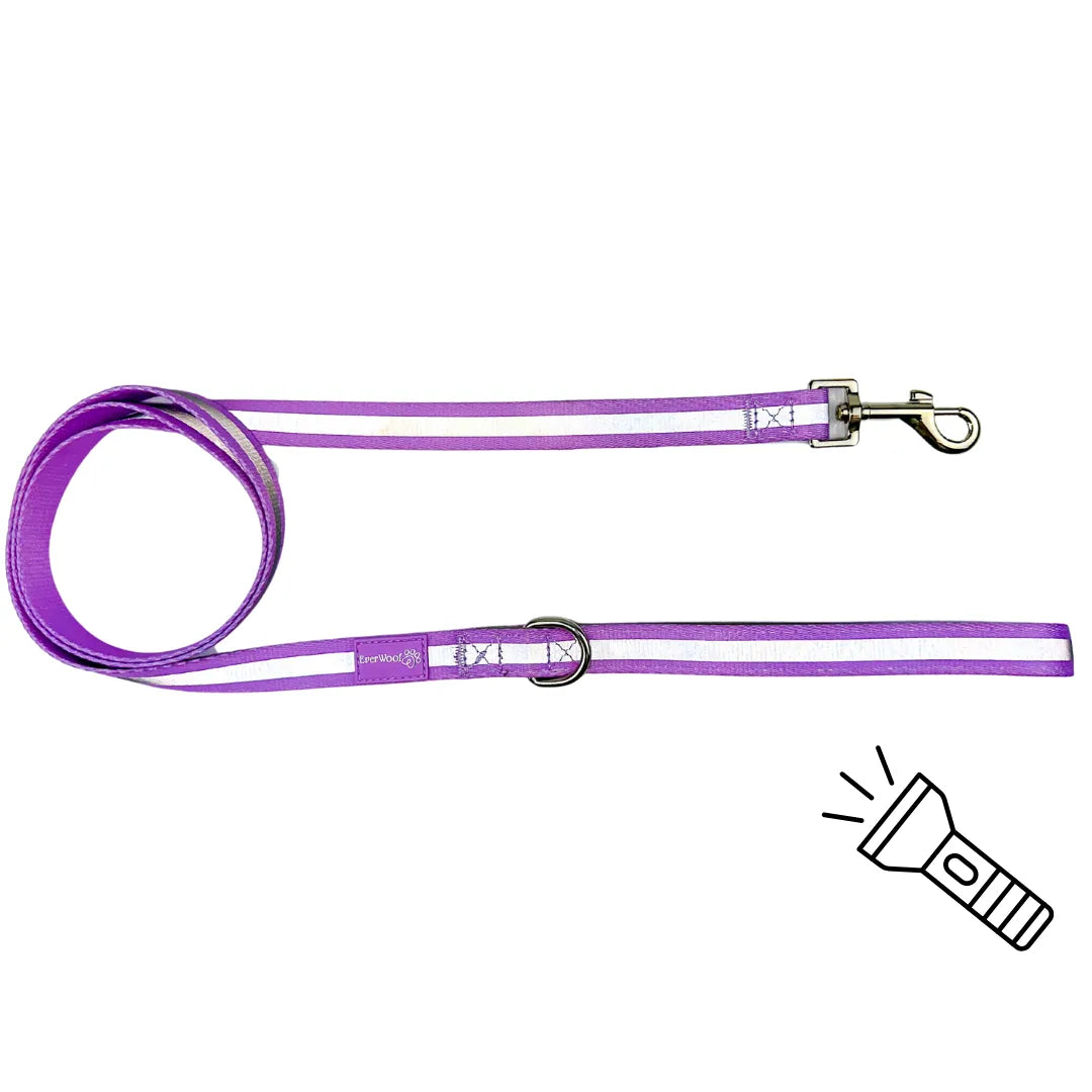 Amethyst dog leash with reflective stripes, neoprene handle, and metal clip for keys or waste bags. Ideal for walks.
