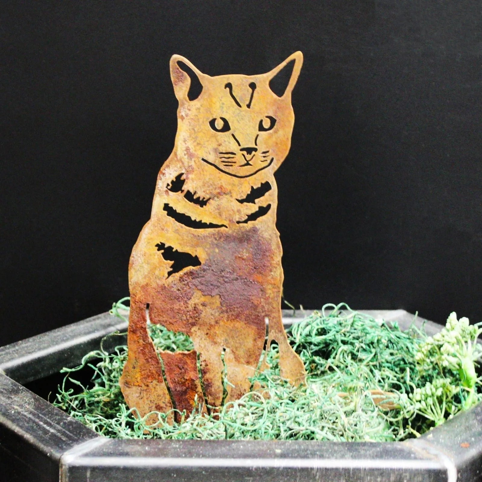 Rusty metal silhouette of a shorthair tabby cat, positioned in a planter with green moss and surrounded by black background.