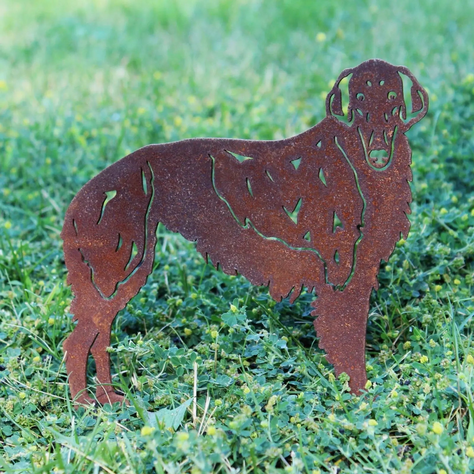 Rusty Corten steel silhouette of a Silken Windhound standing on grass, ideal for outdoor decorative art.