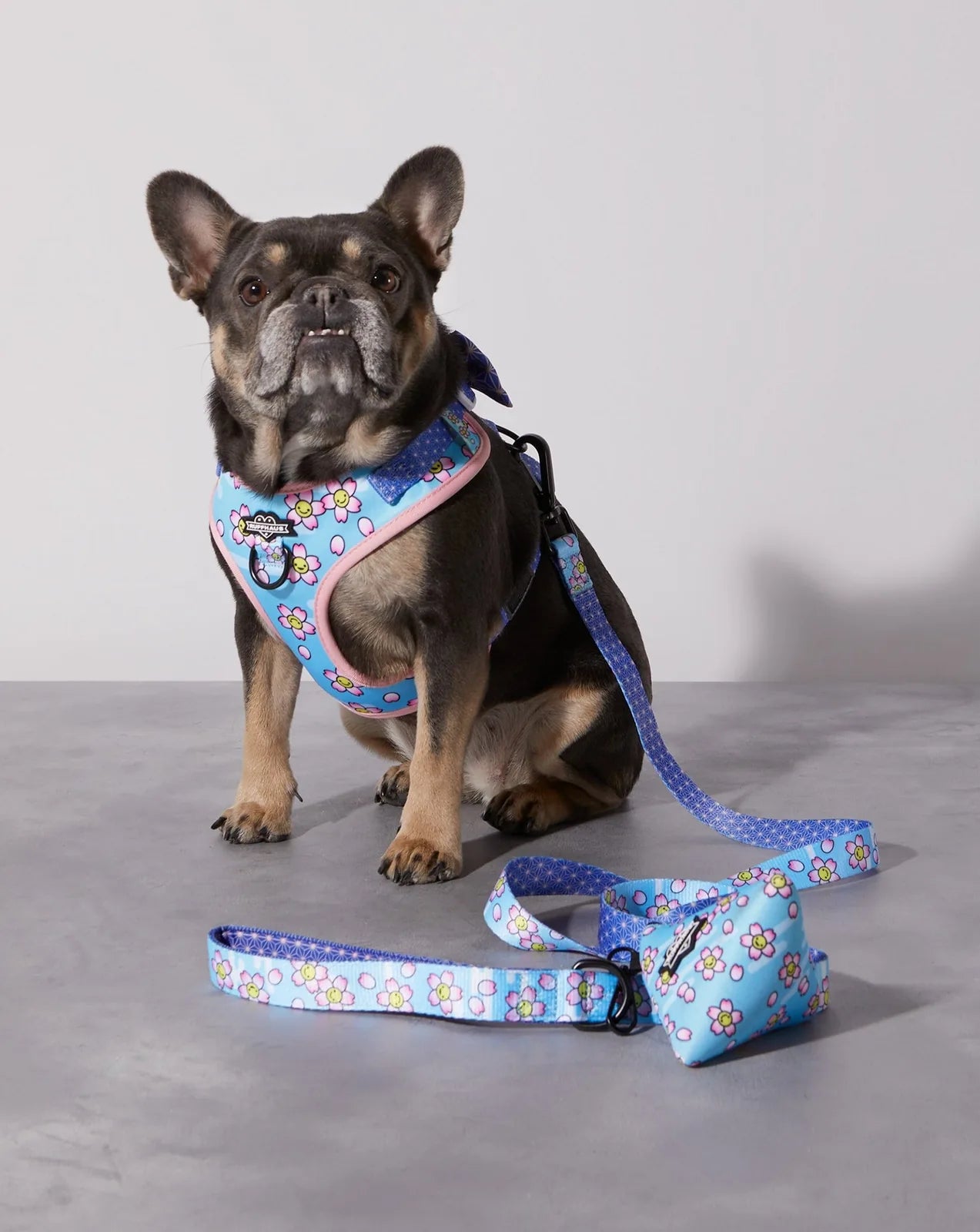 Blue floral dog leash next to a seating French Bulldog wearing a matching harness, showcasing vibrant pattern and comfort.