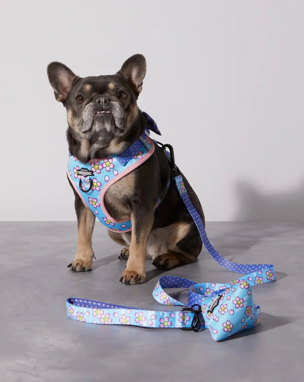 Compact blue dog poop bag holder with flower pattern, attached to a colorful leash, displayed with a French Bulldog.