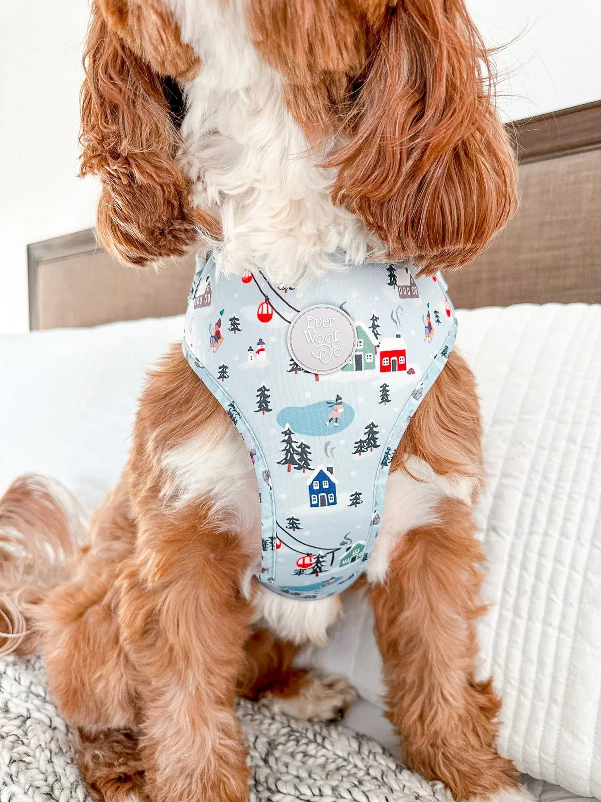 Snowy Slopes adjustable harness in light gray with festive winter scenes, fitted comfortably on a dog's torso.