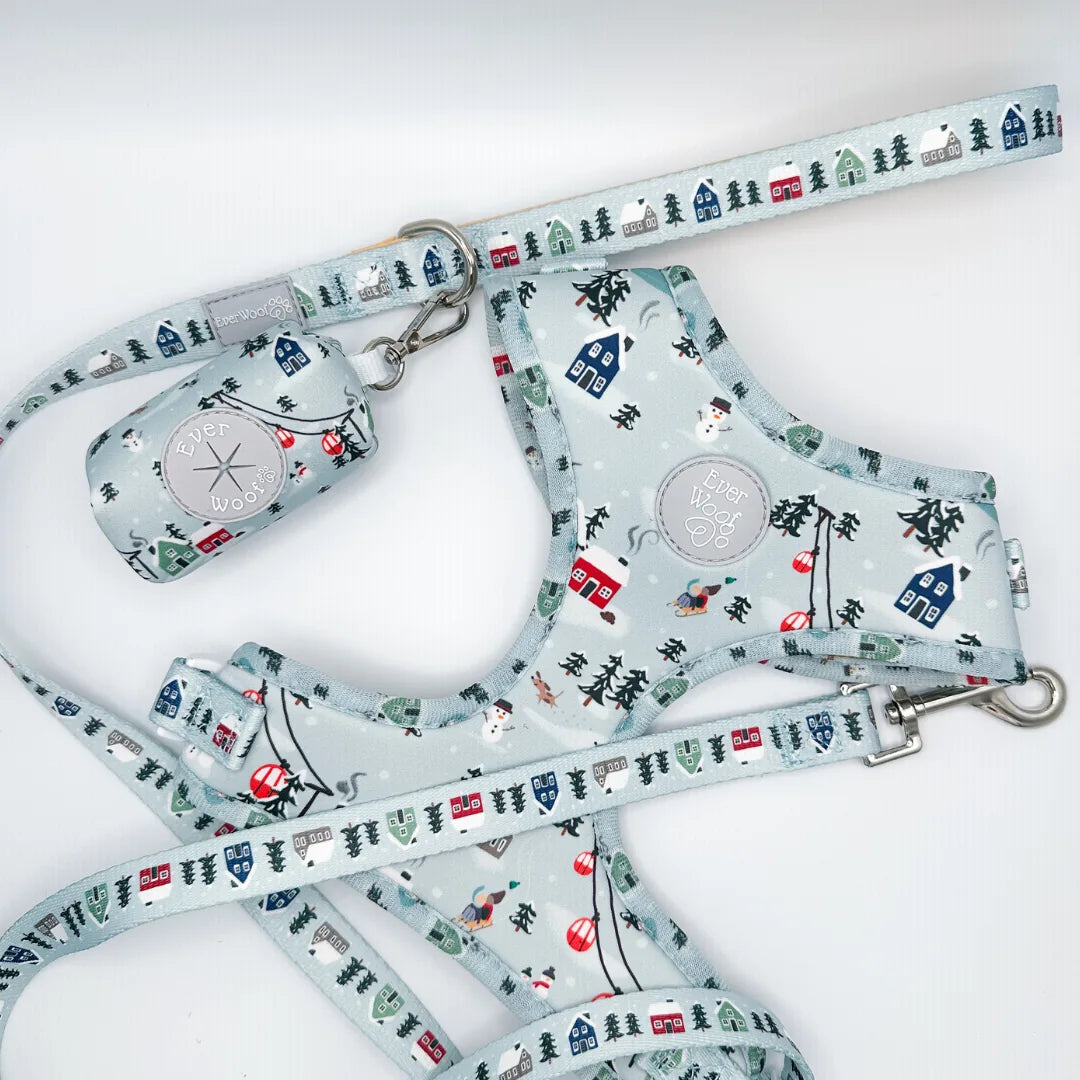 Light blue dog leash and harness with winter-themed patterns of houses and snowflakes by EverWoof.