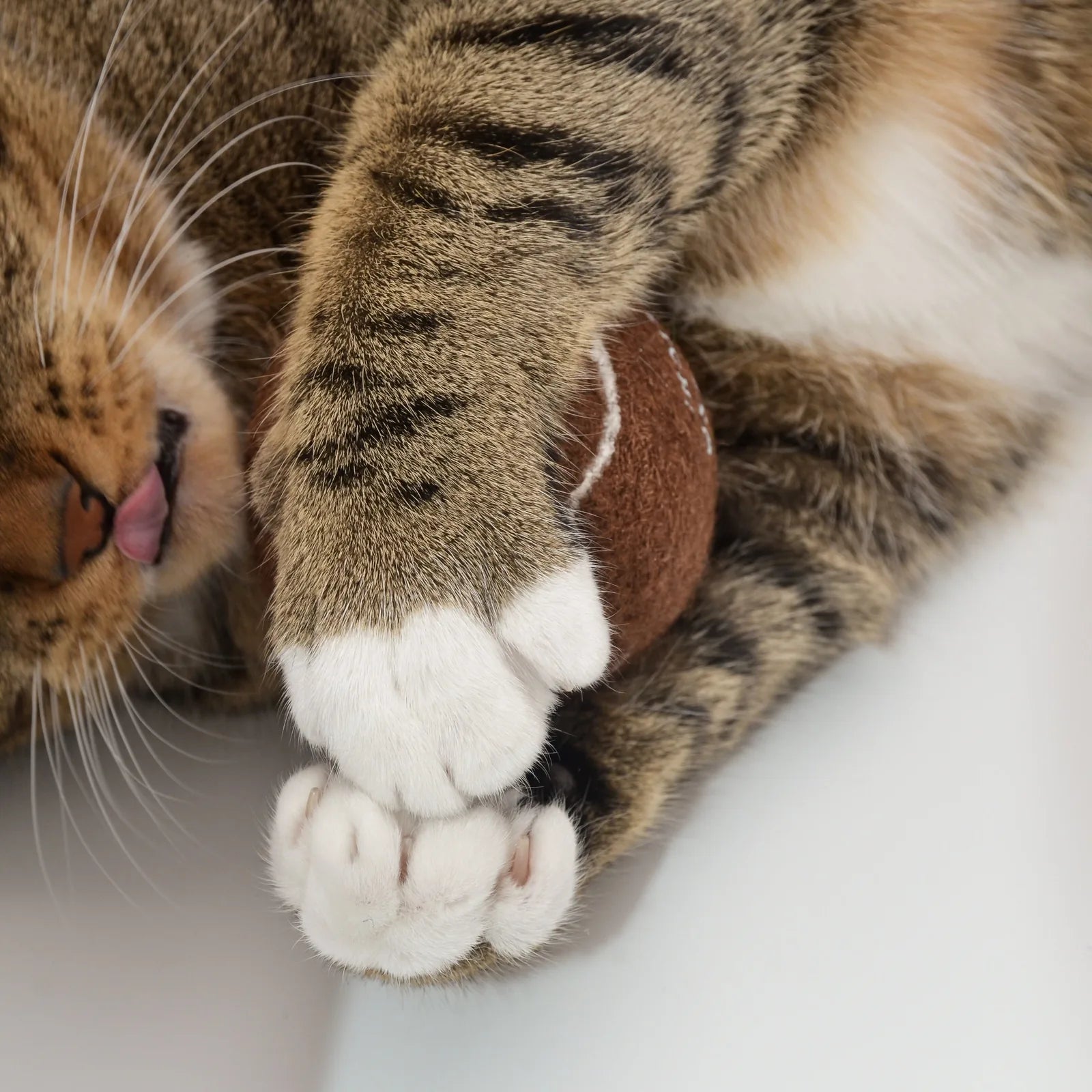 A cat's paw tightly grips a brown tennis ball, showcasing its soft white fur and playful demeanor.