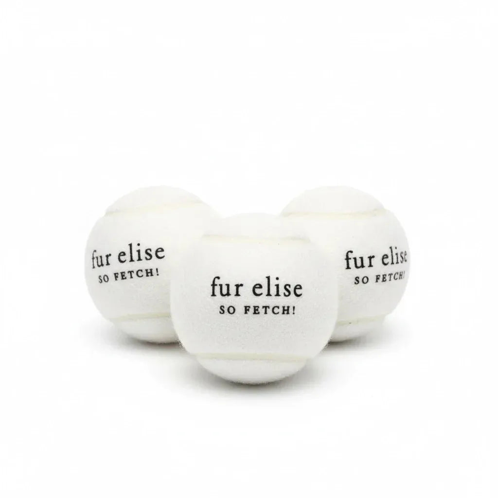 Chic ivory tennis balls with "fur elise! SO FETCH!" text, perfect for dogs to enjoy fetch playtime.