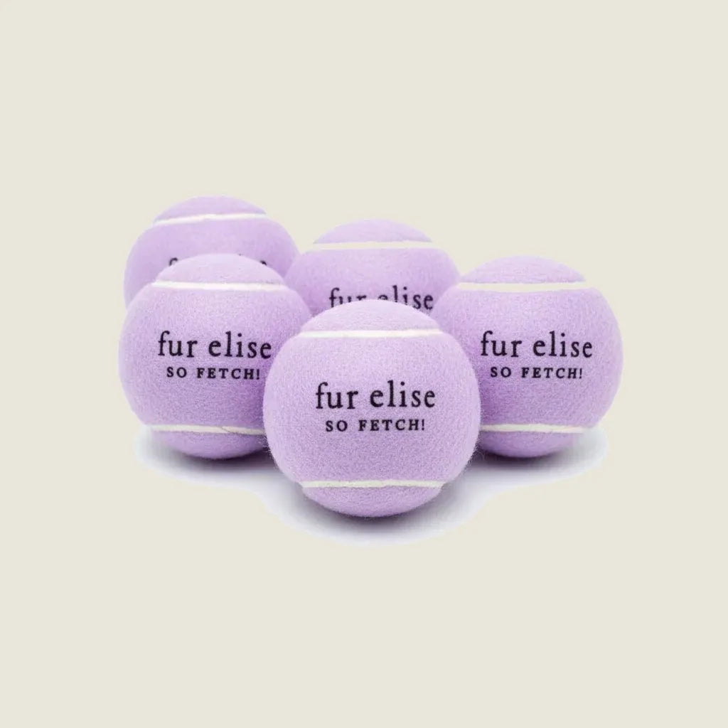 Lilac tennis ball pack of 5 featuring "fur elise SO FETCH!" text, made with pet-safe felt for dogs.