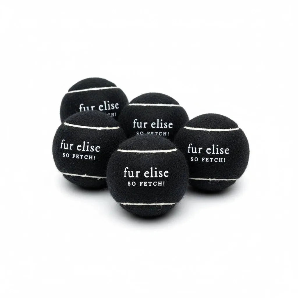 Five black tennis balls with "fur elise" and "SO FETCH!" text, crafted from pet-safe felt for durable dog play.