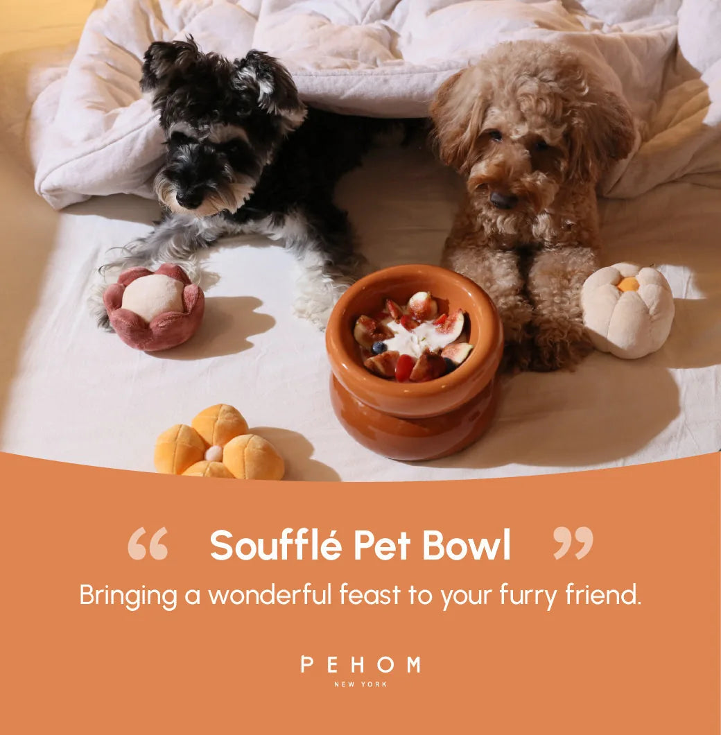 Amber orange Soufflé Pet Bowl with food, surrounded by plush toys and two dogs on a soft blanket.