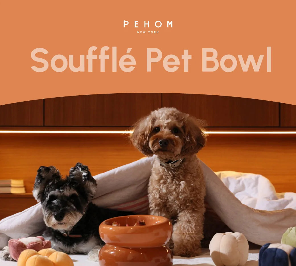 Amber orange Soufflé Pet Bowl by Pehom NYC, designed with a diagonal opening for comfortable pet feeding.