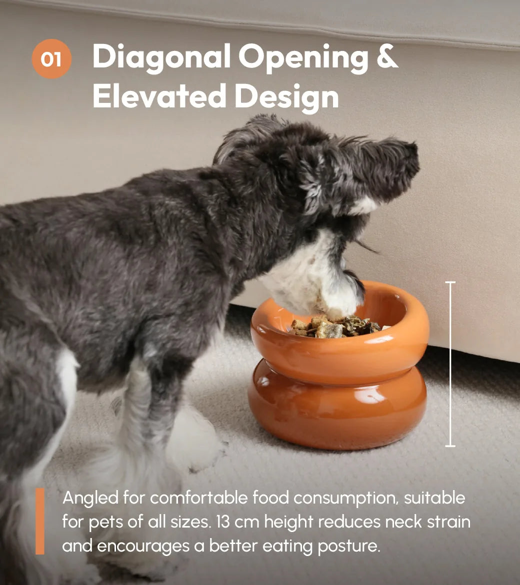 Amber orange Soufflé Pet Bowl with a diagonal opening design, elevating dining for dogs and reducing neck strain.