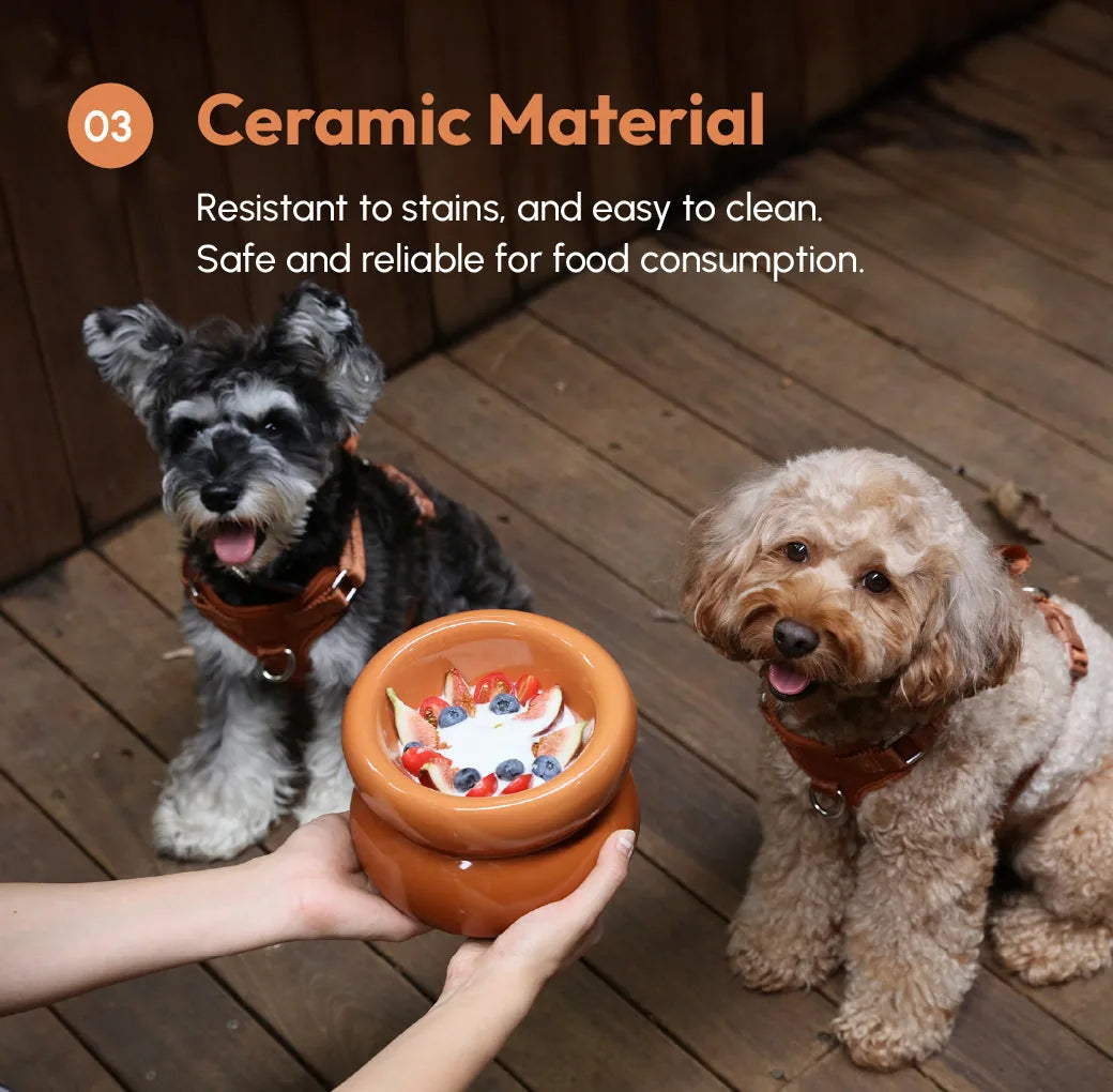 Amber orange ceramic pet bowl held in hand with fruit topping, alongside two dogs on wooden floor.