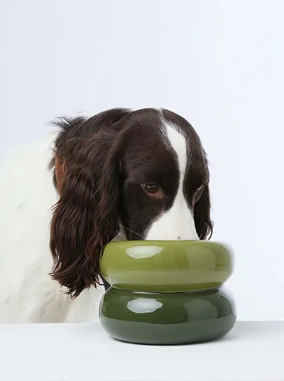 Avocado green pet bowl with a diagonal opening design, complementing a dog eagerly leaning in to eat.