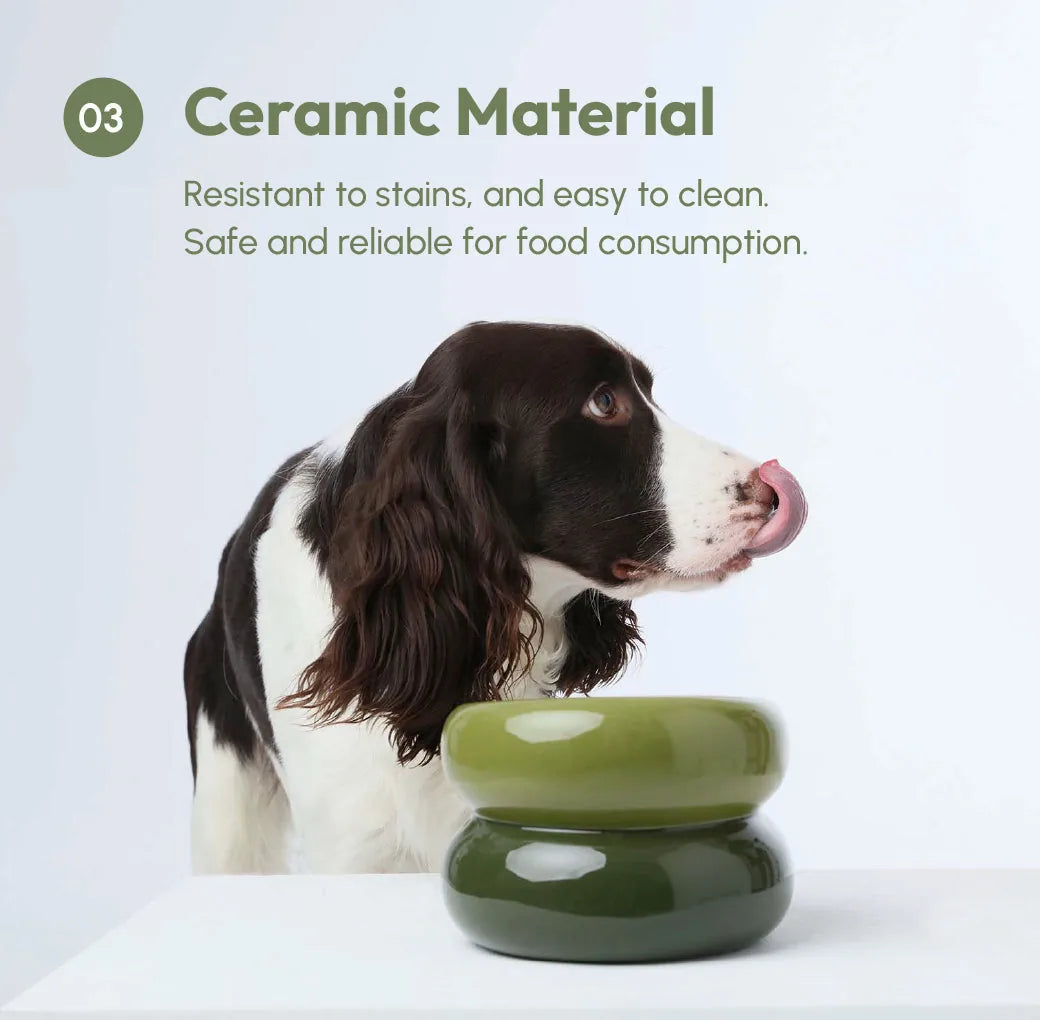 Avocado green ceramic pet bowl with a unique diagonal design, next to a dog's face, showcasing its sleek shape.
