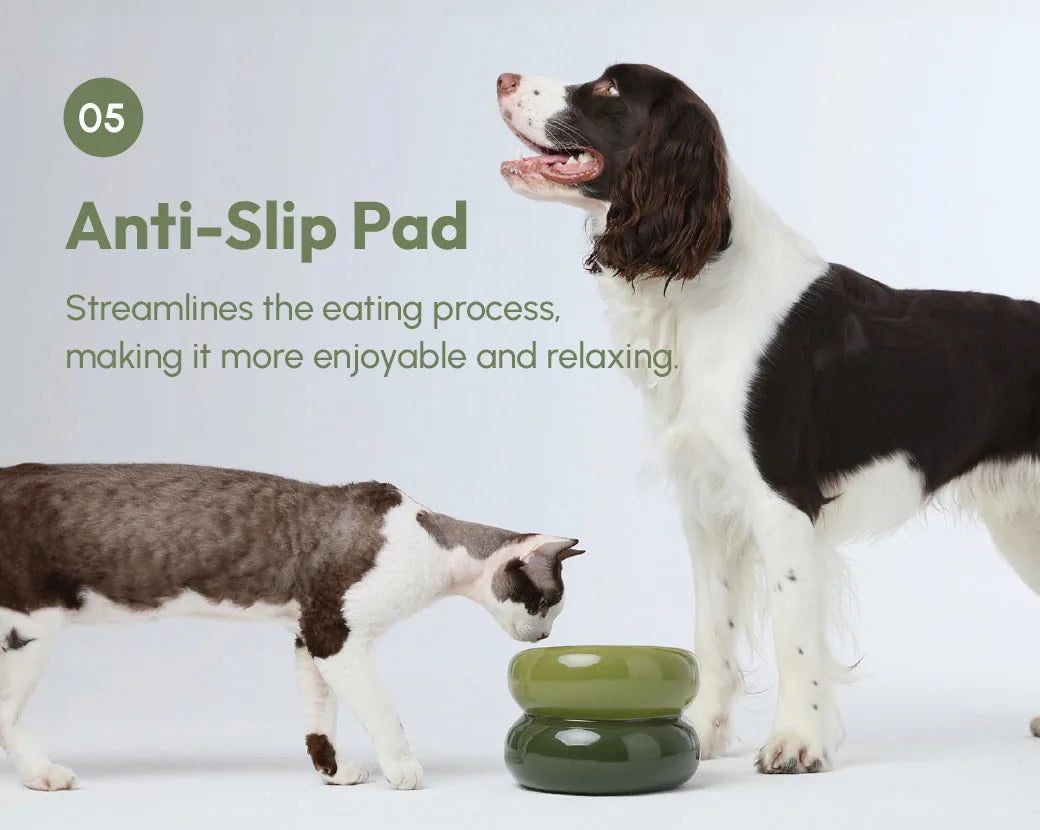 Avocado green Soufflé Pet Bowl with anti-slip design, surrounded by a dog and cat, showcasing its modern shape.