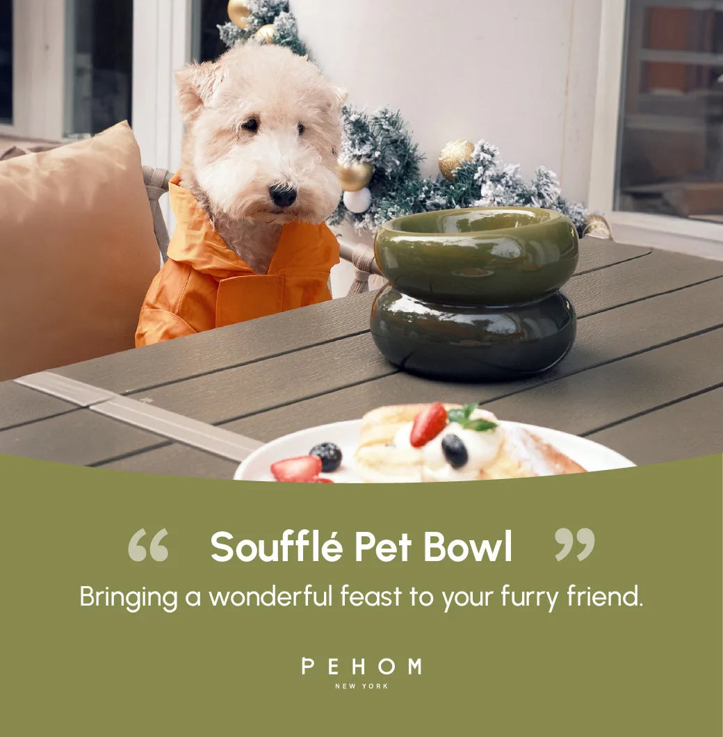 Avocado green Soufflé Pet Bowl on a table, designed for comfortable dog feeding with a large base to prevent tipping.