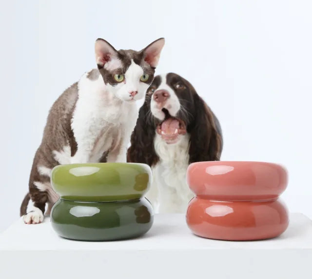 Avocado green pet bowl with a unique design, shown alongside a pink bowl, with a cat and dog in the background.