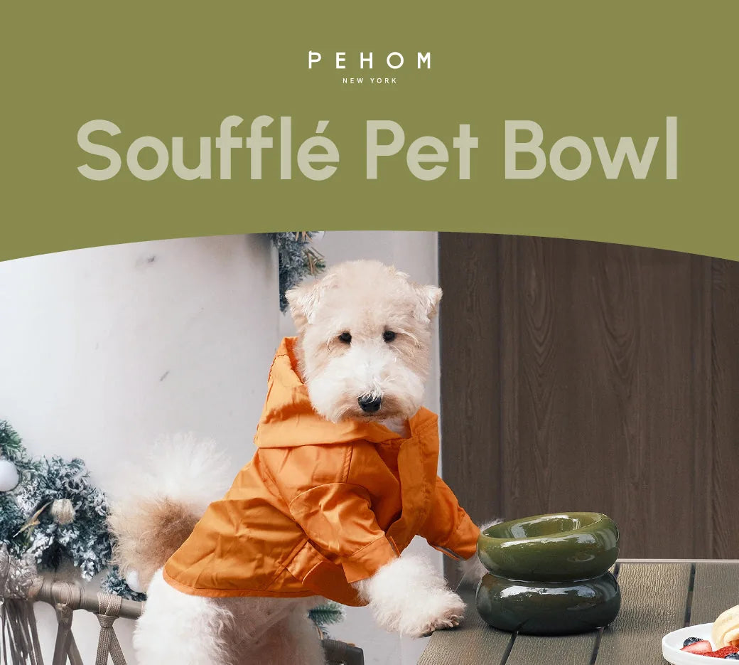 Avocado green Soufflé Pet Bowl on a table, with a dog wearing an orange coat nearby, featuring its unique curved design.