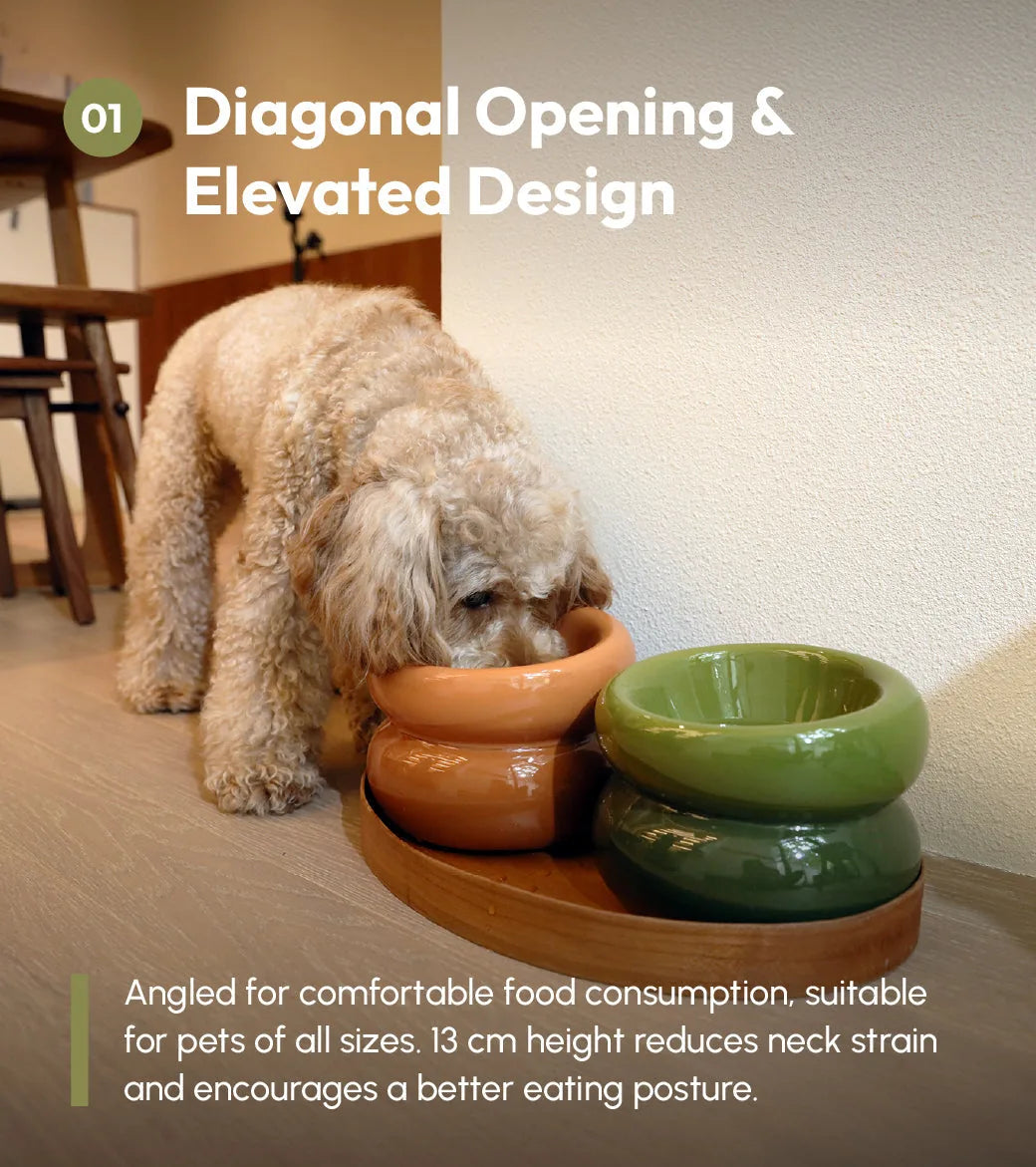 Avocado green pet bowl with diagonal opening, elevated design reduces neck strain for comfortable feeding.