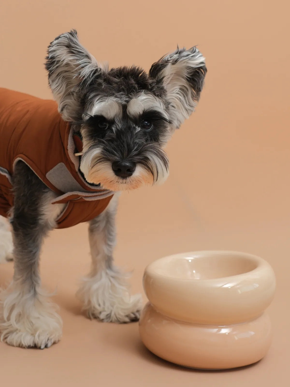 Cream beige Soufflé Pet Bowl with a unique design, paired with a dog in a brown coat on a soft background.