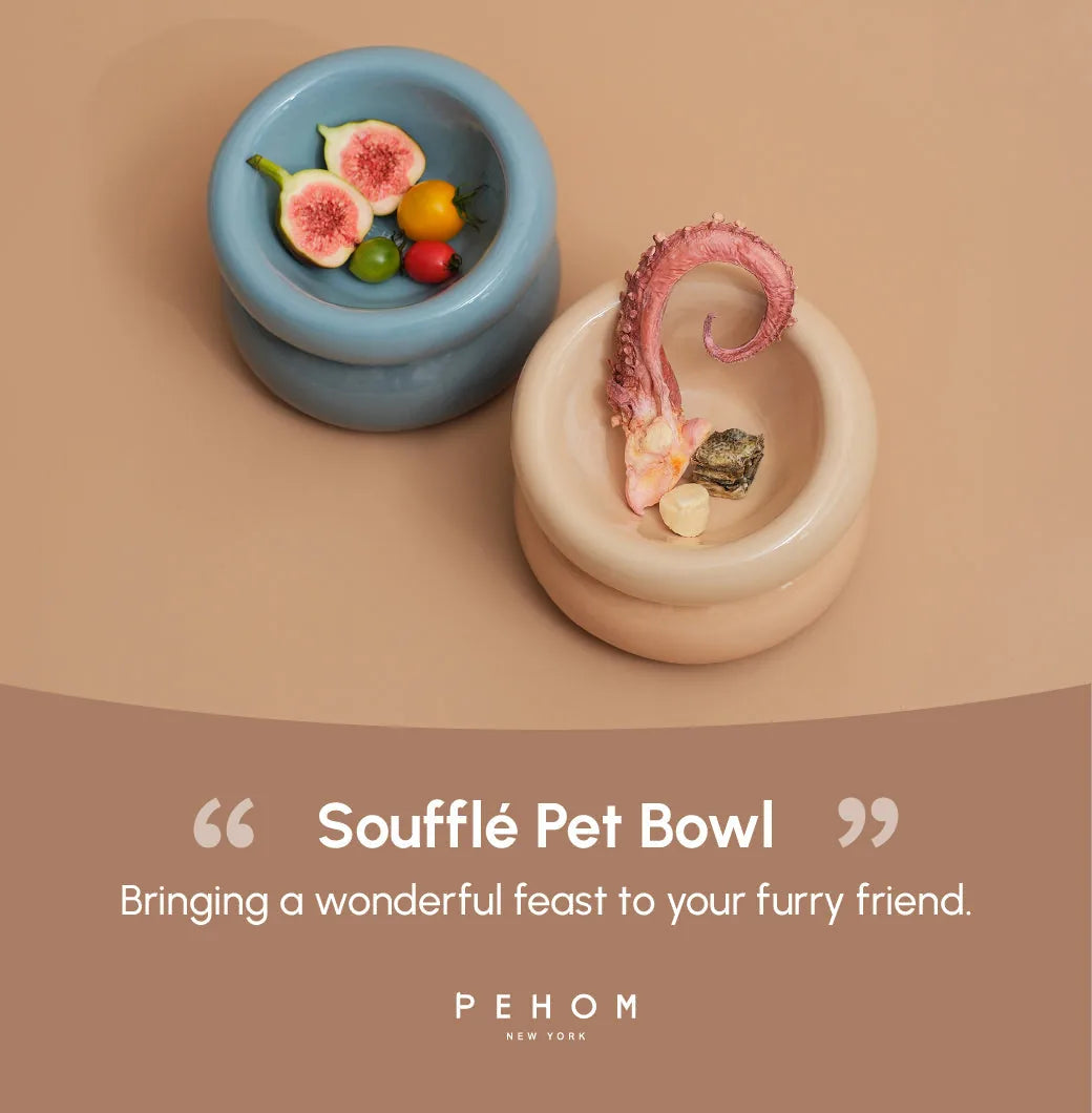 Cream beige Soufflé pet bowl with a wide base, designed for comfort and easy cleaning, next to a blue bowl.