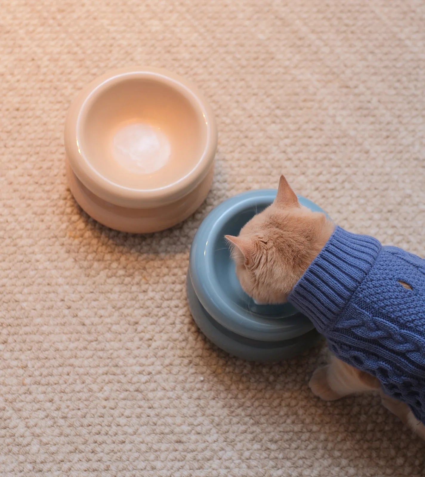 Cream beige pet bowl with a wide base and diagonal opening, alongside a blue bowl, set on a textured rug.
