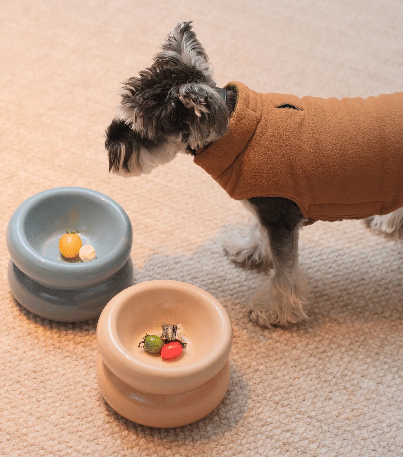 Cream beige pet bowl with a diagonal opening, showcasing dog treats inside, next to a blue bowl.