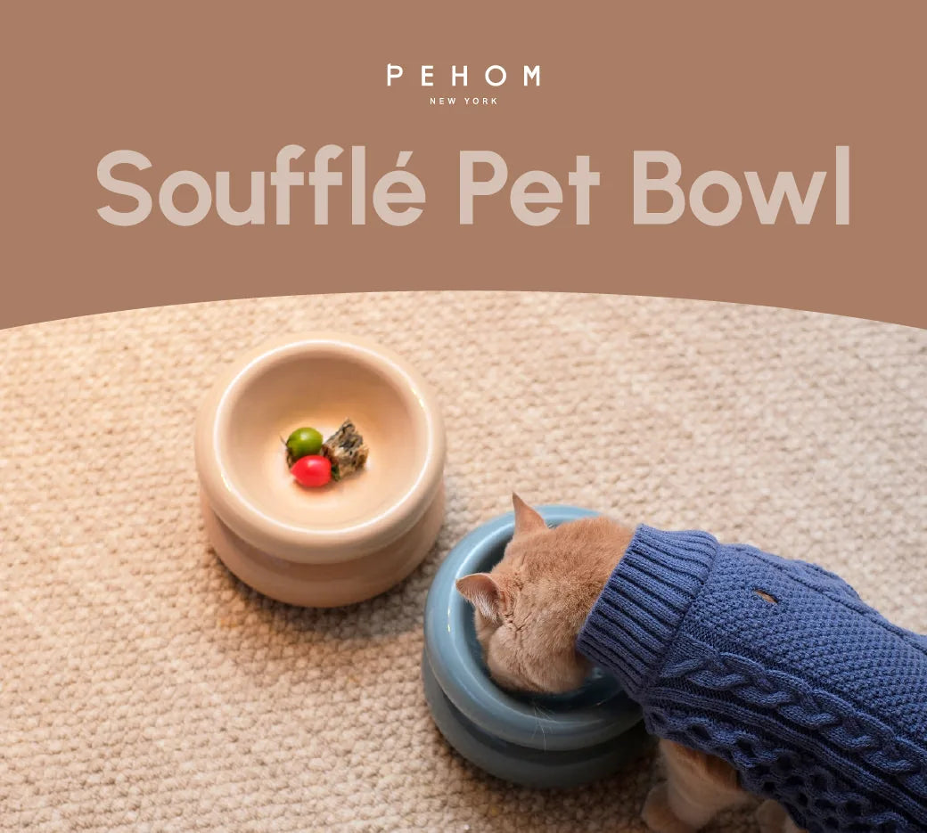 Cream beige Soufflé Pet Bowl with diagonal opening, paired with a cozy blue sweater-clad cat on a beige rug.