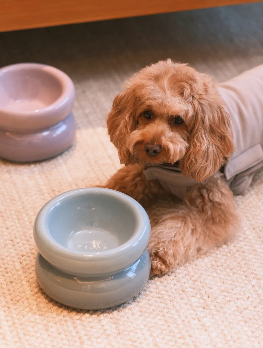 Soufflé Pet Bowl in Frozen Blue beside a dog, featuring a modern, ergonomic design with a stable base.