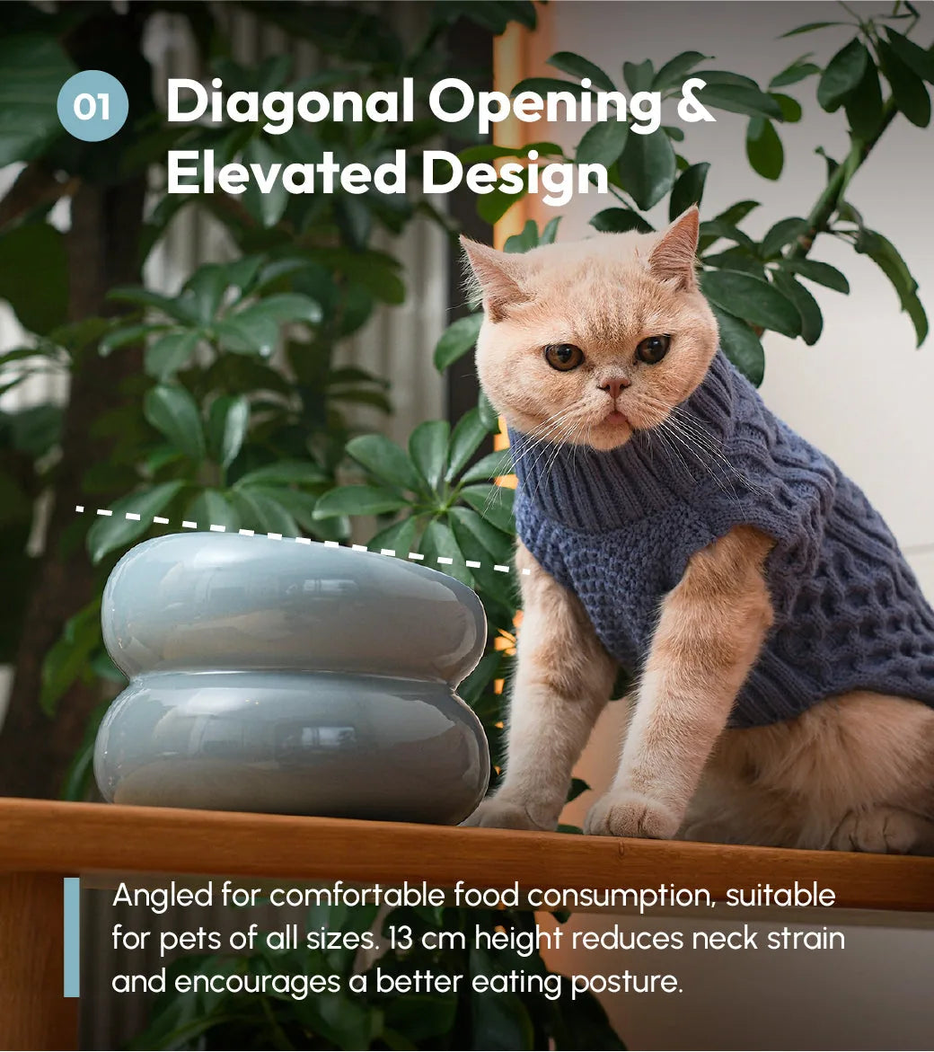 Elevated Frozen Blue Soufflé Pet Bowl with a diagonal opening, designed for comfortable eating posture.