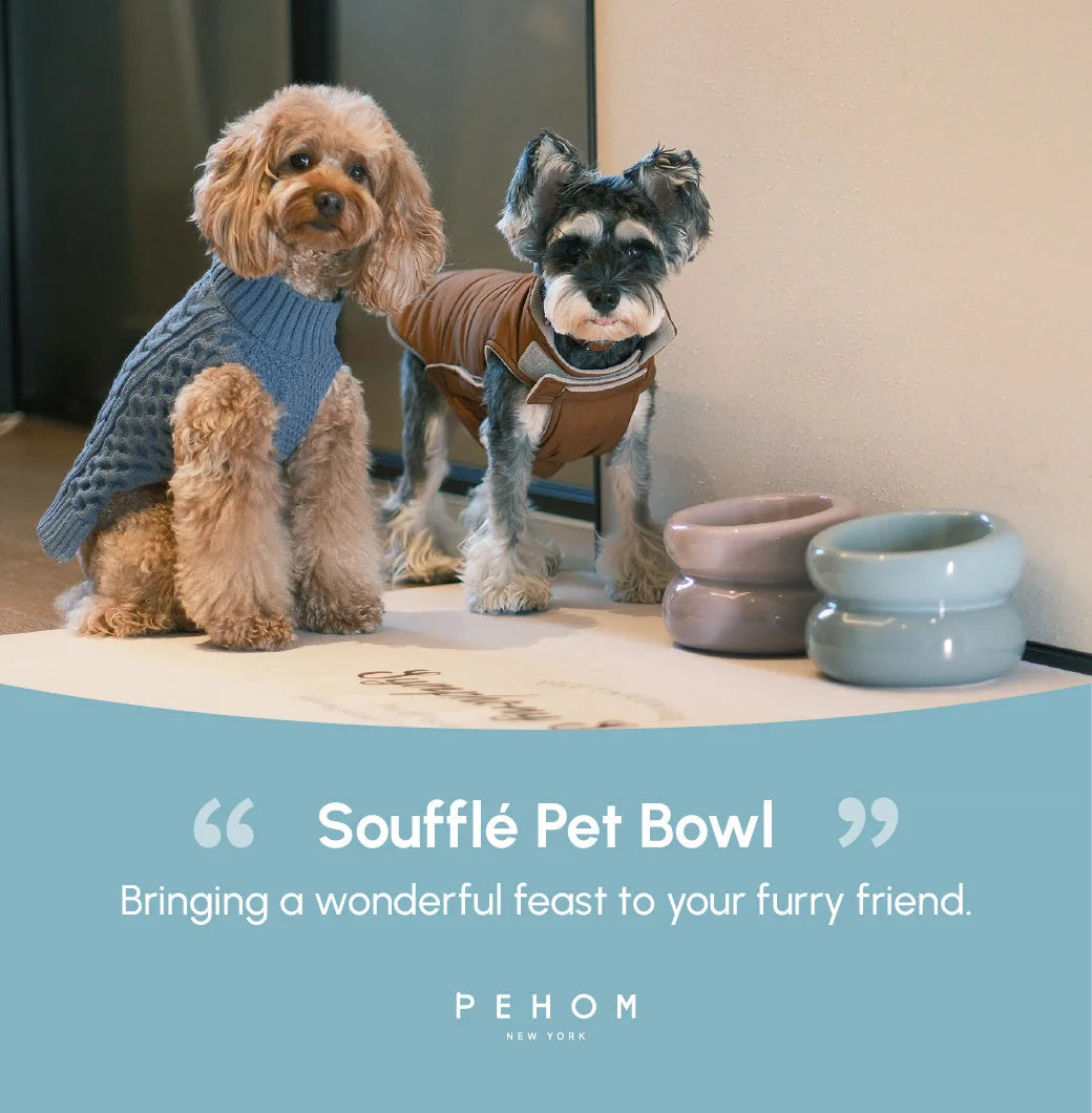 Two dogs in stylish outfits beside Frozen Blue Soufflé Pet Bowls on a mat, showcasing a modern feeding accessory.