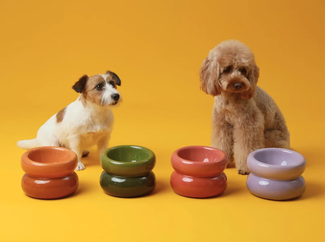 Soufflé Pet Bowls in orange, green, red, and lavender beside two dogs on a yellow backdrop.