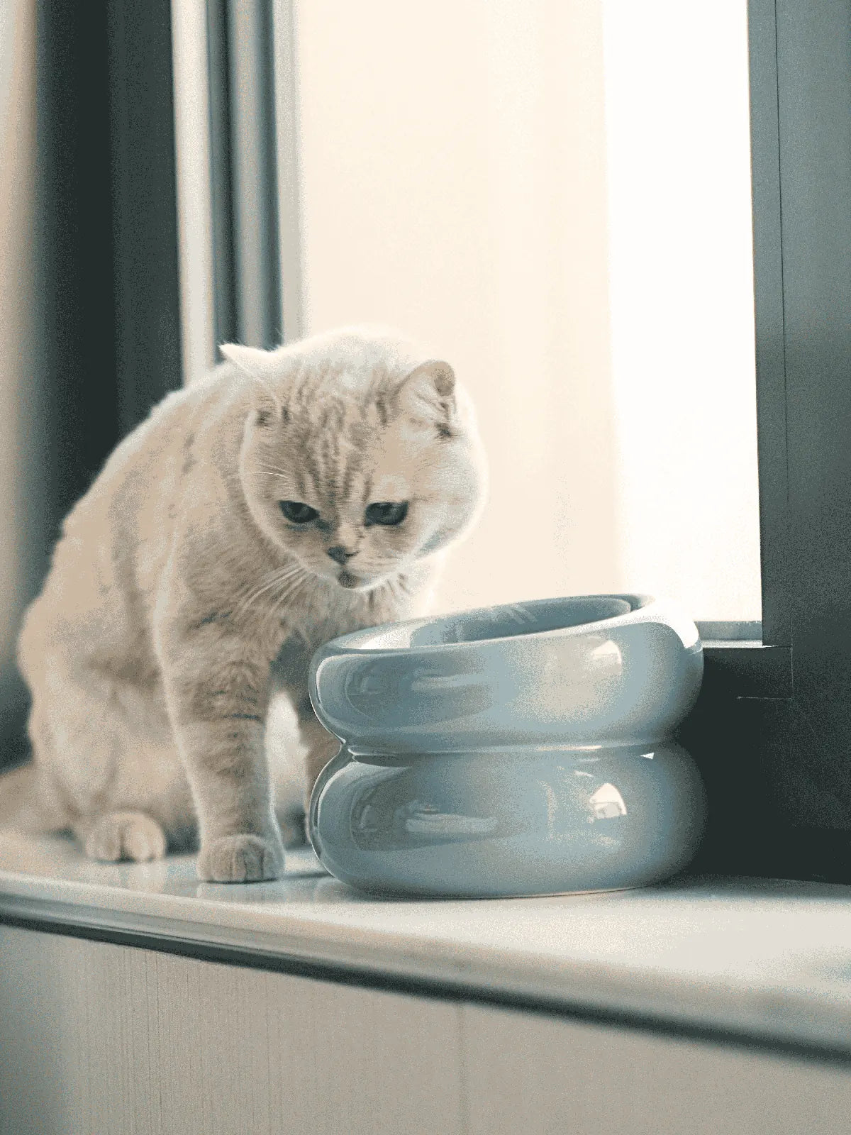 Soufflé Pet Bowl in Frozen Blue on a windowsill next to a cat, showcasing its unique design and glossy finish.