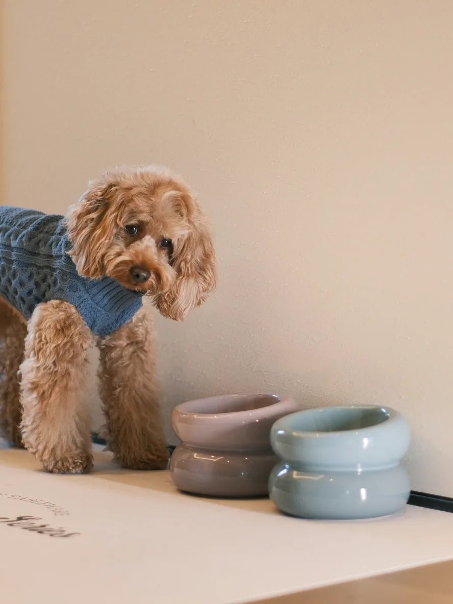 A fluffy dog with a light brown coat stands beside two modern pet bowls in pastel colors against a beige wall.