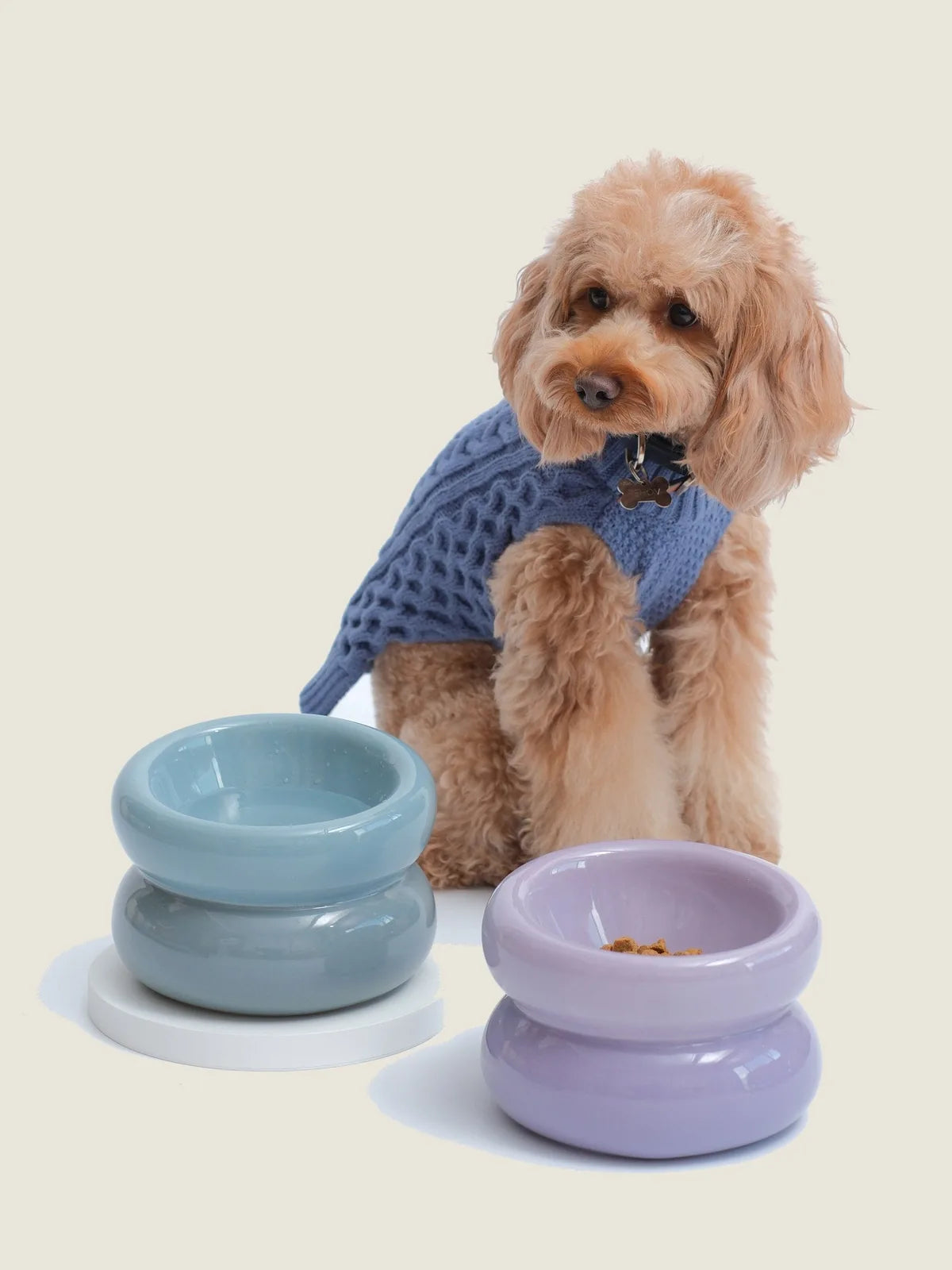 Soufflé Pet Bowl in Frozen Blue and Lavender with a dog in a blue sweater nearby, showcasing their elegant design.